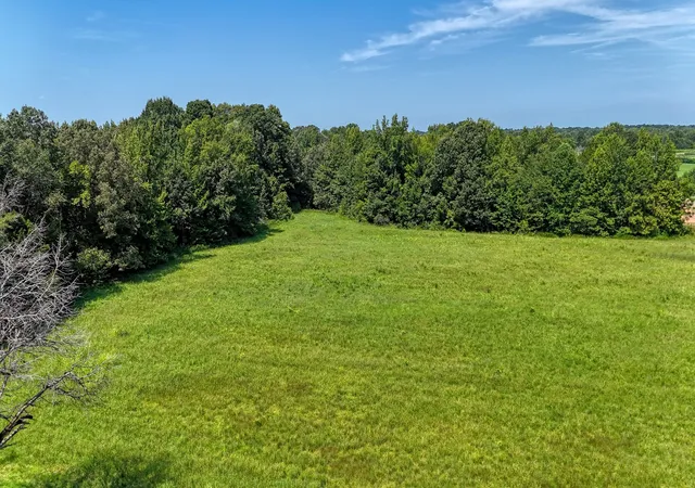 4th image of 0 Eighteen Loop, Toone, TN 38381 | MLS# 3521147