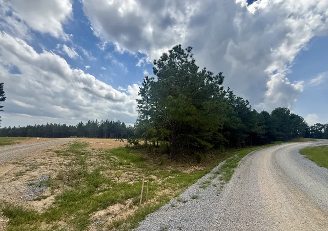 Photo 4 of Land for sale at 0 Warren Proctor Ln, Erin, TN 37061 | MLS# 3520184 | Listing updated on 2026-08-25