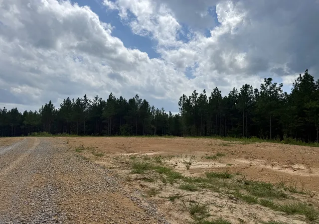 Photo 9 of Land for sale at 0 Warren Proctor Ln, Erin, TN 37061 | MLS# 3520184 | Listing updated on 2026-08-25