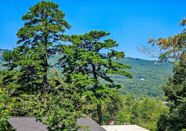 4th image of 700 Runyan Dr, Chattanooga, TN 37405 | MLS# 3519311