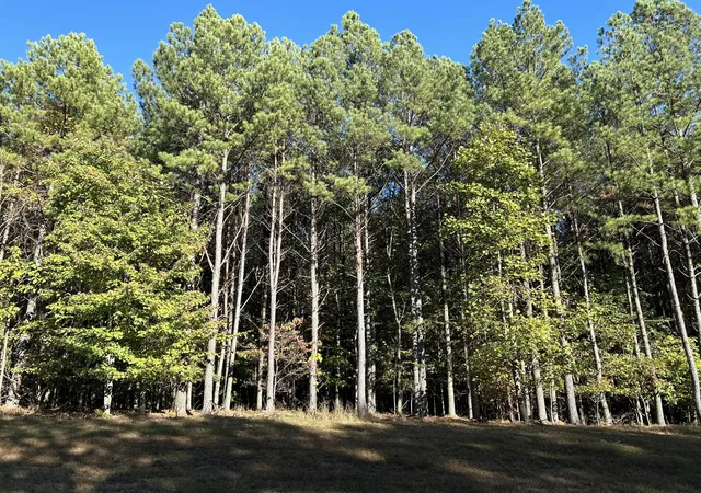 2nd image of 2035 Crockett Pointe, Jasper, TN 37347 | MLS# 3520186