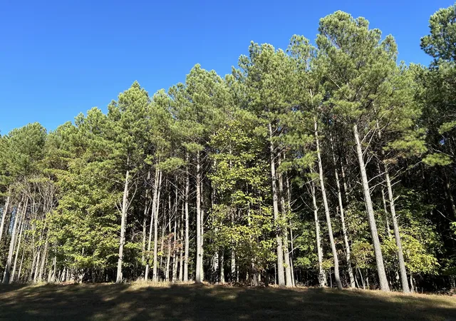 4th image of 2035 Crockett Pointe, Jasper, TN 37347 | MLS# 3520186