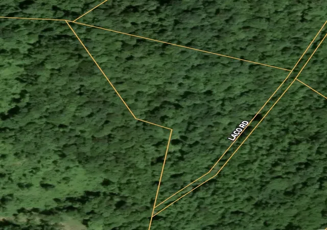 1st image of 0 Laco Road, Huntsville, TN 37756 | MLS# 3520373