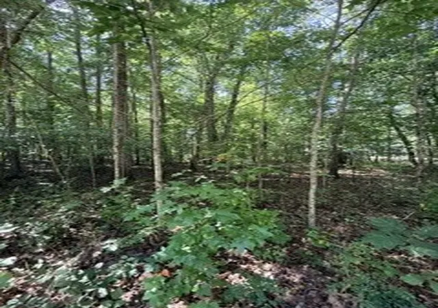 Photo 3 of Land for sale at 75 Sunset Bluff Way, Monteagle, TN 37356 | MLS# 3526944 | Listing updated on 2026-08-27