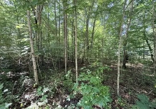 Photo 4 of Land for sale at 75 Sunset Bluff Way, Monteagle, TN 37356 | MLS# 3526944 | Listing updated on 2026-08-27