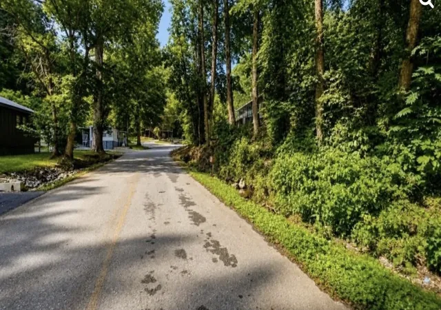 4th image of 0 Horse Creek Dock Rd, Celina, TN 38551 | MLS# 3520344