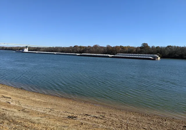 25th image of 4422 Old Hohenwald Rd, Linden, TN 37096 | MLS# 3520486
