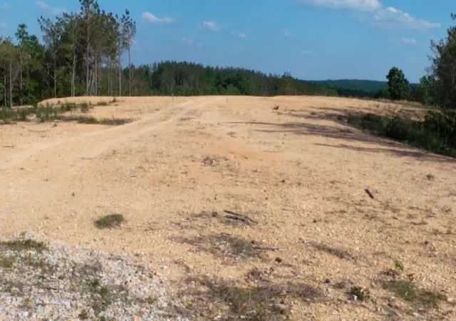 3rd image of 4422 Old Hohenwald Rd, Linden, TN 37096 | MLS# 3520486
