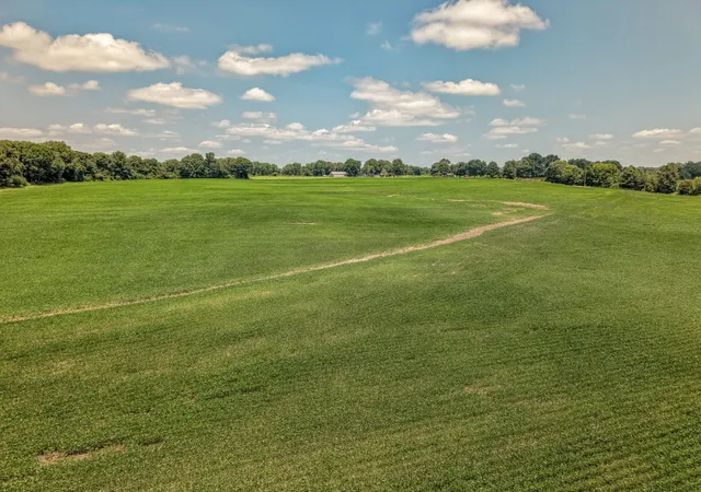 Photo 4 of Land for sale at 0 N Hwy 54, Bells, TN 38006 | MLS# 3520422 | Listing updated on 2026-08-21