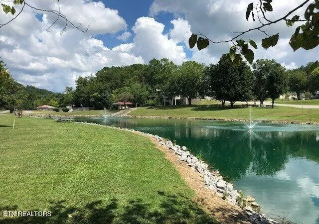 42nd image of 449 Mountain Thrush Dr, Townsend, TN 37882 | MLS# 3520365