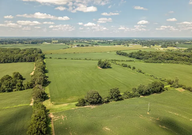 Photo 2 of House for sale at 0 S Maury City Rd, Alamo, TN 38001 | MLS# 3520421 | Listing updated on 2026-08-21