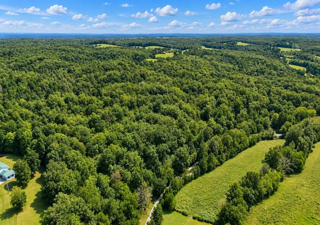 Photo 3 of Land for sale at 0 Dog Crk Rd, Primm Springs, TN 38476 | MLS# 3597291 | Listing updated on 2026-09-22