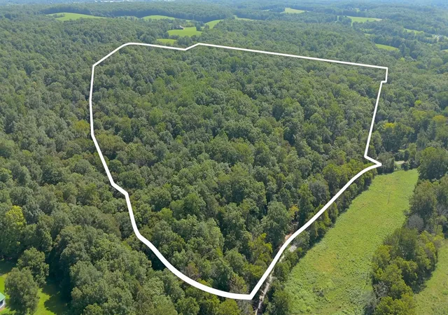 Photo 4 of Land for sale at 0 Dog Crk Rd, Primm Springs, TN 38476 | MLS# 3597291 | Listing updated on 2026-09-22