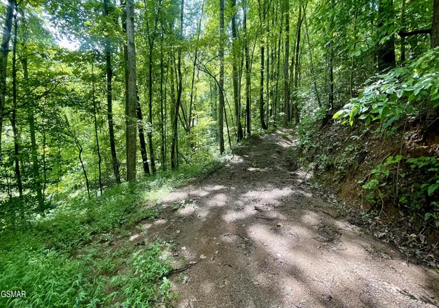 1st image of 1304 Balsam Circle, Sevierville, TN 37876 | MLS# 3520480