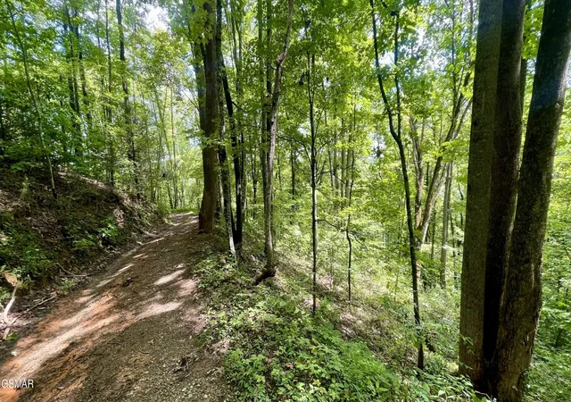 2nd image of 1304 Balsam Circle, Sevierville, TN 37876 | MLS# 3520480