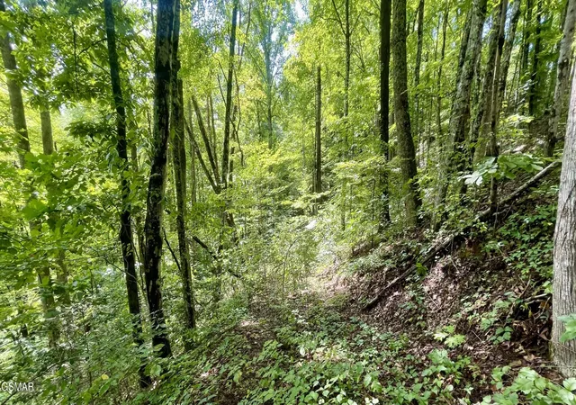 3rd image of 1304 Balsam Circle, Sevierville, TN 37876 | MLS# 3520480