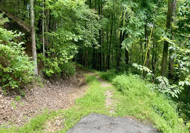 4th image of 1304 Balsam Circle, Sevierville, TN 37876 | MLS# 3520480