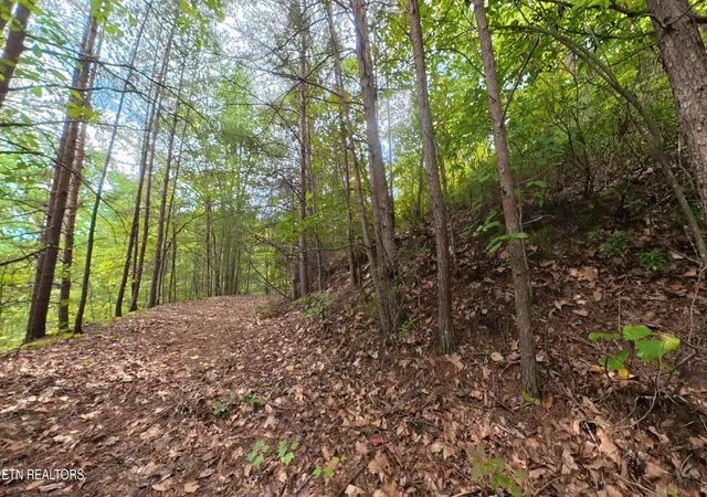 13th image of 0 Shady Oaks Way, Sevierville, TN 37876 | MLS# 3520485
