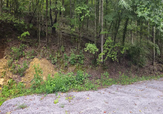 3rd image of 2196 Baker Station Rd, Goodlettsville, TN 37072 | MLS# 3520613