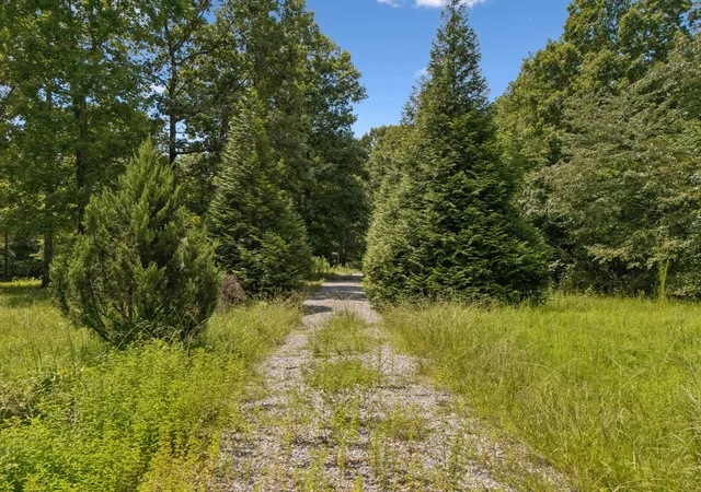 25th image of 12007 Woodland Trl, Nunnelly, TN 37137 | MLS# 3520602