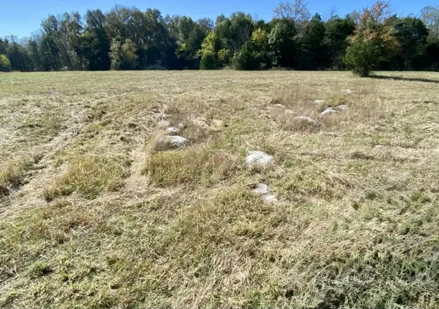 3rd image of 1596 Wilburn Phillips Rd, Lewisburg, TN 37091 | MLS# 3520774