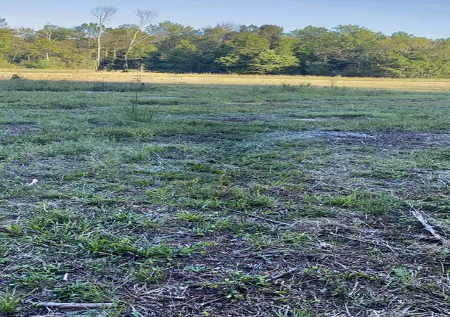 4th image of 1596 Wilburn Phillips Rd, Lewisburg, TN 37091 | MLS# 3520774