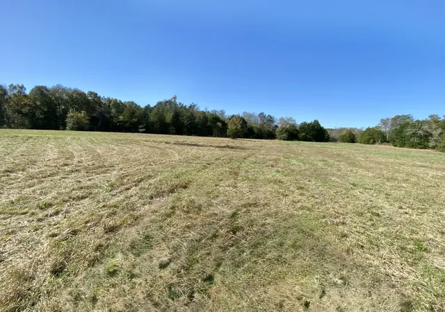 5th image of 1596 Wilburn Phillips Rd, Lewisburg, TN 37091 | MLS# 3520774