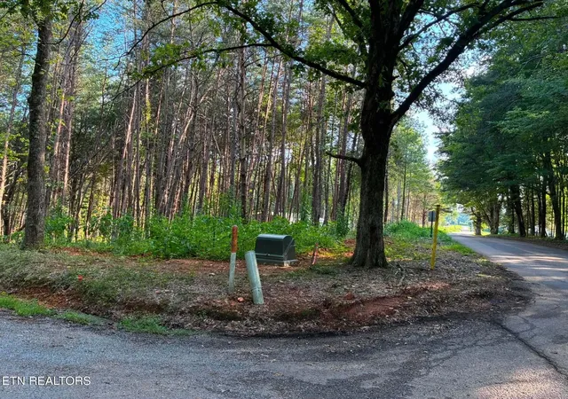 11th image of 100 County Road 262, Niota, TN 37826 | MLS# 3520622