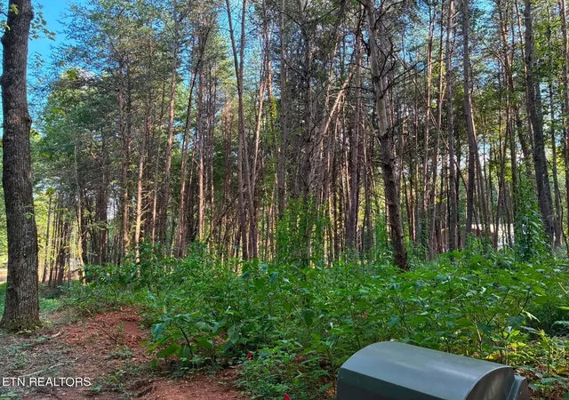 Photo 3 of Land for sale at 100 County Road 262, Niota, TN 37826 | MLS# 3520622 | Listing updated on 2026-09-18