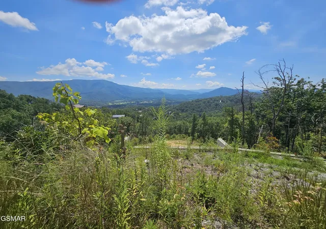 2nd image of 2330 Surries High Top Way, Sevierville, TN 37862 | MLS# 3524767