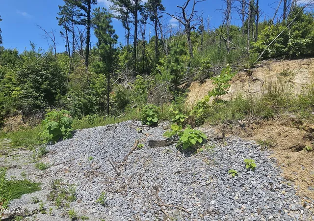 4th image of 2330 Surries High Top Way, Sevierville, TN 37862 | MLS# 3524767