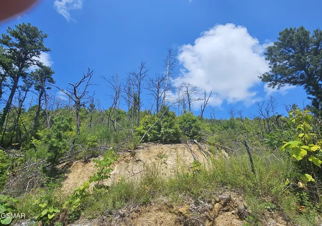 5th image of 2330 Surries High Top Way, Sevierville, TN 37862 | MLS# 3524767