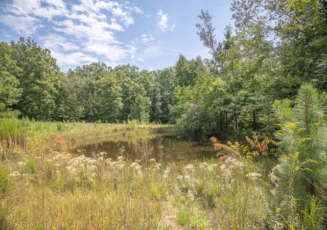 46th image of 162 Tracy Rd, Hohenwald, TN 38462 | MLS# 3520767