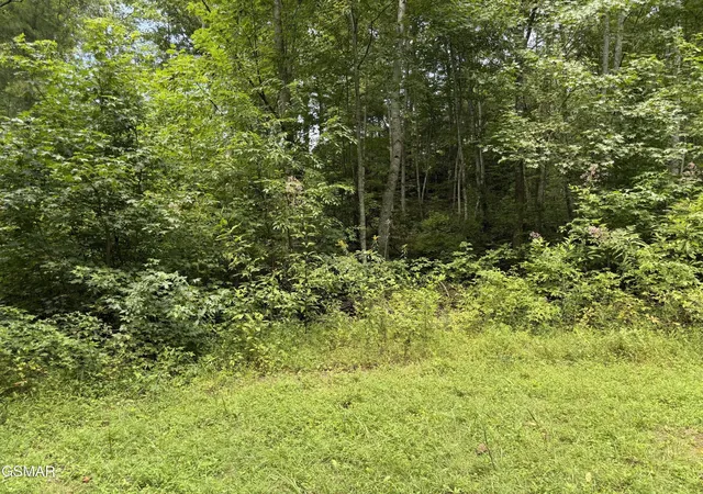 11th image of 3 Coy Rhea Way, Sevierville, TN 37876 | MLS# 3520780