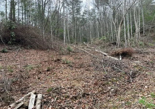 2nd image of 3 Coy Rhea Way, Sevierville, TN 37876 | MLS# 3520780