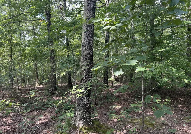 Photo 11 of Land for sale at 0 American Way, Stewart, TN 37175 | MLS# 3520861 | Listing updated on 2026-08-23