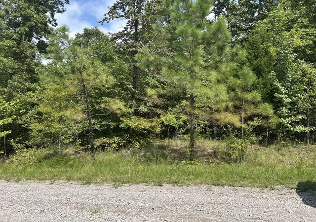 Photo 2 of Land for sale at 0 American Way, Stewart, TN 37175 | MLS# 3520861 | Listing updated on 2026-08-23