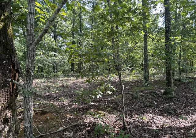 Photo 4 of Land for sale at 0 American Way, Stewart, TN 37175 | MLS# 3520861 | Listing updated on 2026-08-23