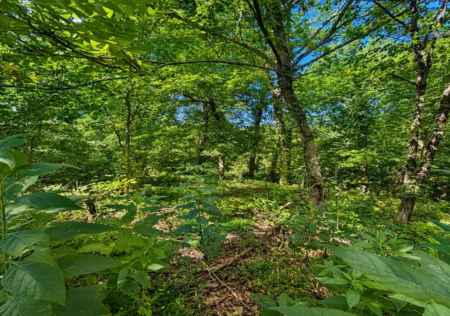 Photo 3 of Land for sale at 0 Harbor Pointe Lane, Smithville, TN 37166 | MLS# 3525707 | Listing updated on 2026-08-25