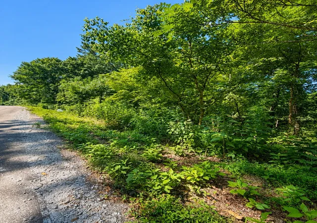 Photo 4 of Land for sale at 0 Harbor Pointe Lane, Smithville, TN 37166 | MLS# 3525707 | Listing updated on 2026-08-25