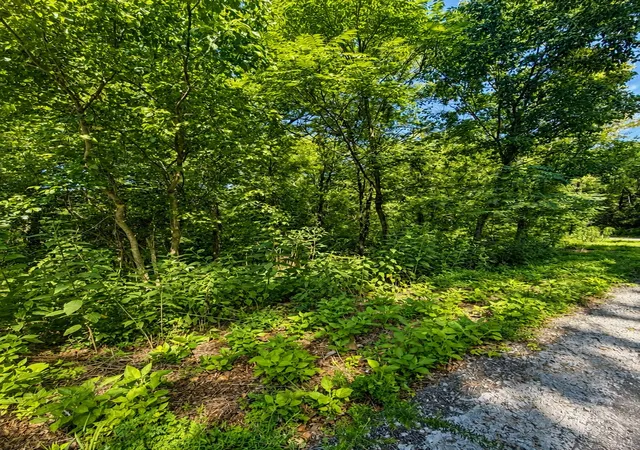 Photo 6 of Land for sale at 0 Harbor Pointe Lane, Smithville, TN 37166 | MLS# 3525707 | Listing updated on 2026-08-25