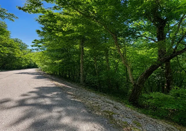 Photo 2 of Sale Pending at 0 Shoreside Dr, Smithville, TN 37166 | MLS# 3525700 | Listing updated on 2026-09-27