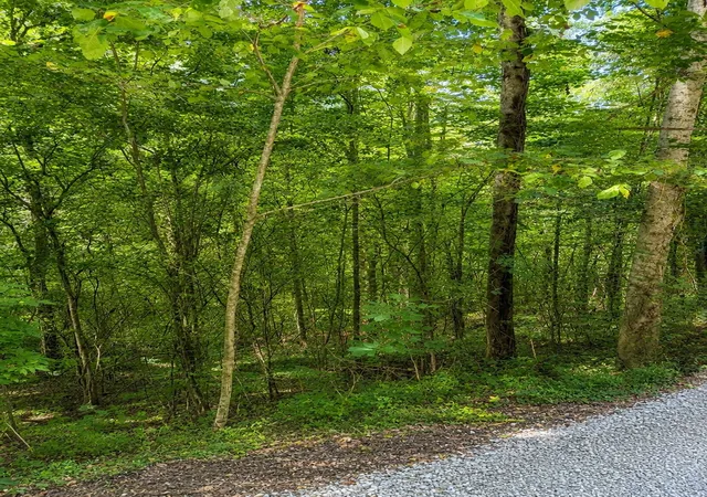 Photo 3 of Sale Pending at 0 Shoreside Dr, Smithville, TN 37166 | MLS# 3525700 | Listing updated on 2026-09-27