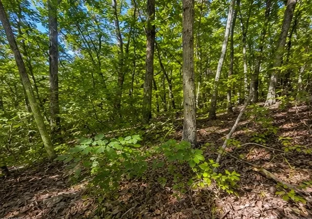 Photo 1 of Land for sale at 0 Swiper Dr, Smithville, TN 37166 | MLS# 3525708 | Listing updated on 2026-08-25