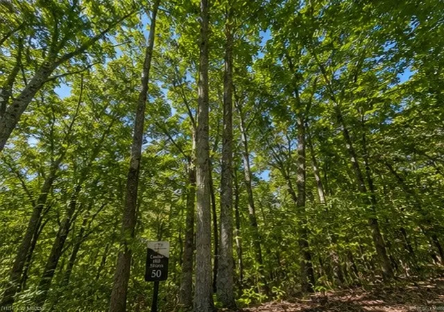 Photo 2 of Land for sale at 0 Swiper Dr, Smithville, TN 37166 | MLS# 3525708 | Listing updated on 2026-08-25