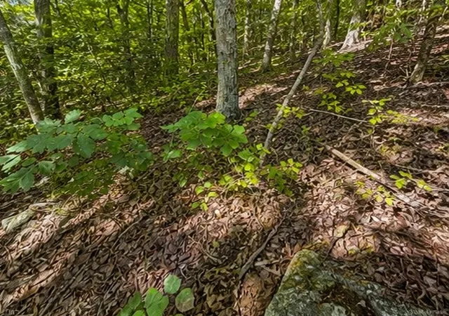 Photo 3 of Land for sale at 0 Swiper Dr, Smithville, TN 37166 | MLS# 3525708 | Listing updated on 2026-08-25
