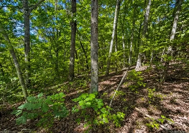 Photo 4 of Land for sale at 0 Swiper Dr, Smithville, TN 37166 | MLS# 3525708 | Listing updated on 2026-08-25