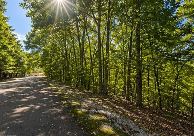 Photo 6 of Land for sale at 0 Swiper Dr, Smithville, TN 37166 | MLS# 3525708 | Listing updated on 2026-08-25