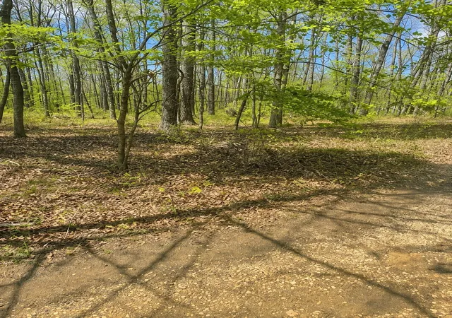 Land for sale at 0 Doe Creek Lake Dr, Sparta, TN 38583 | MLS# 3525706