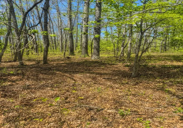 Photo 3 of Land for sale at 0 Doe Creek Lake Dr, Sparta, TN 38583 | MLS# 3525706 | Listing updated on 2026-08-25